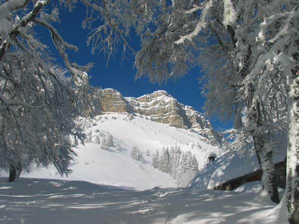 Chamechaude : Arrivée au Habert