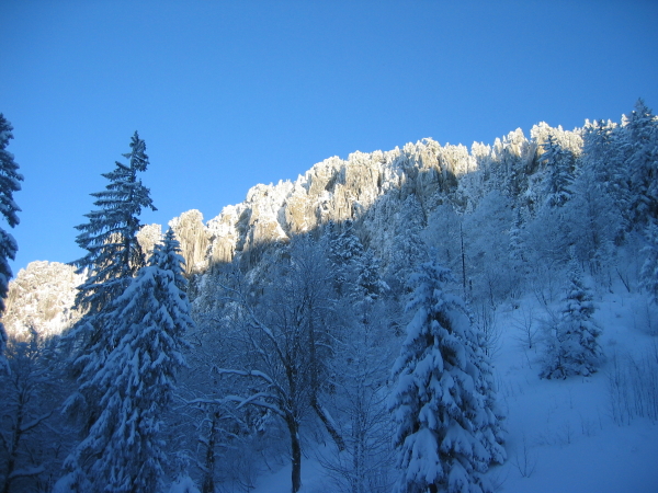 #1 Conditions d Conditions d'entant : La Chartreuse sur son 31