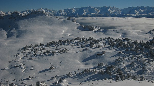 #12 Vallon de Marcieu : Cherchez la cabane du berger Vallon de Marcieu : Cherchez la cabane du berger