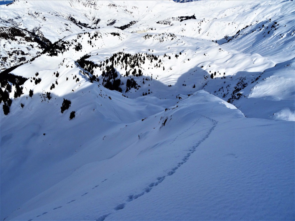 #19 arrête N de la Montagne d arrête N de la Montagne d'Outray