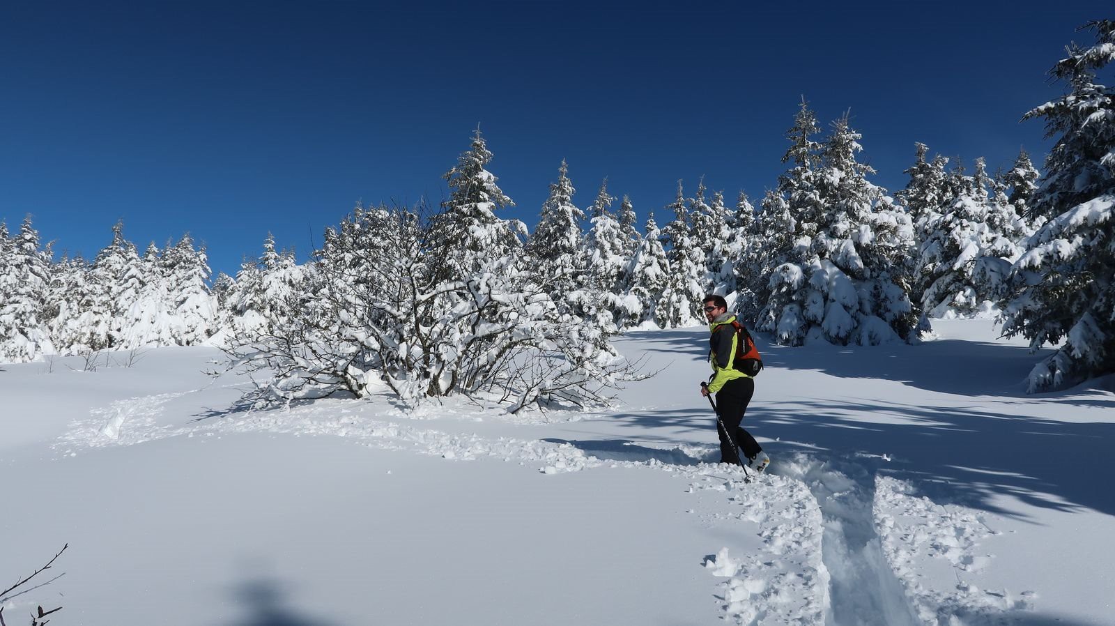 #2 Sur une trace profonde Sur une trace profonde