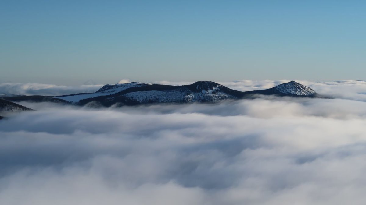 #16 Les 5 Sucs surnagent Les 5 Sucs surnagent