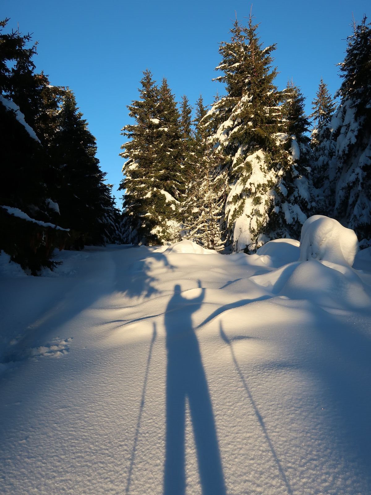 #9 La rando à skis nous grandit La rando à skis nous grandit