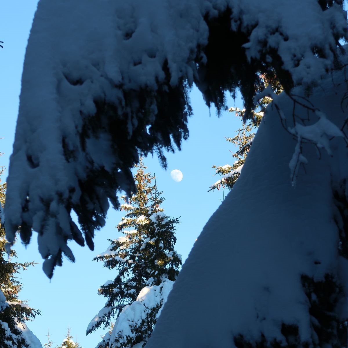 #7 La lune joue à cache cache La lune joue à cache cache