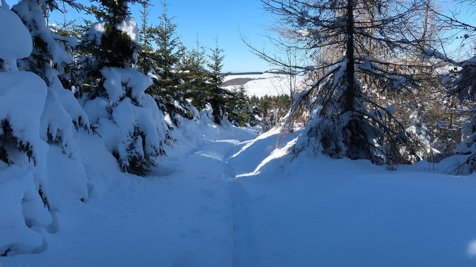 #1 Dur, dur la trace Dur, dur la trace