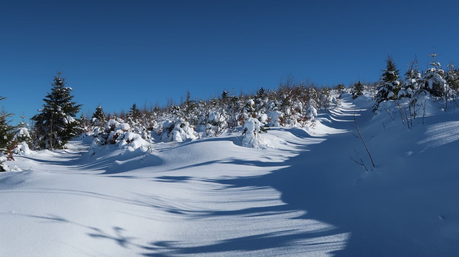 #2 Magnifique sentier non tracé pour débuter Magnifique sentier non tracé pour débuter