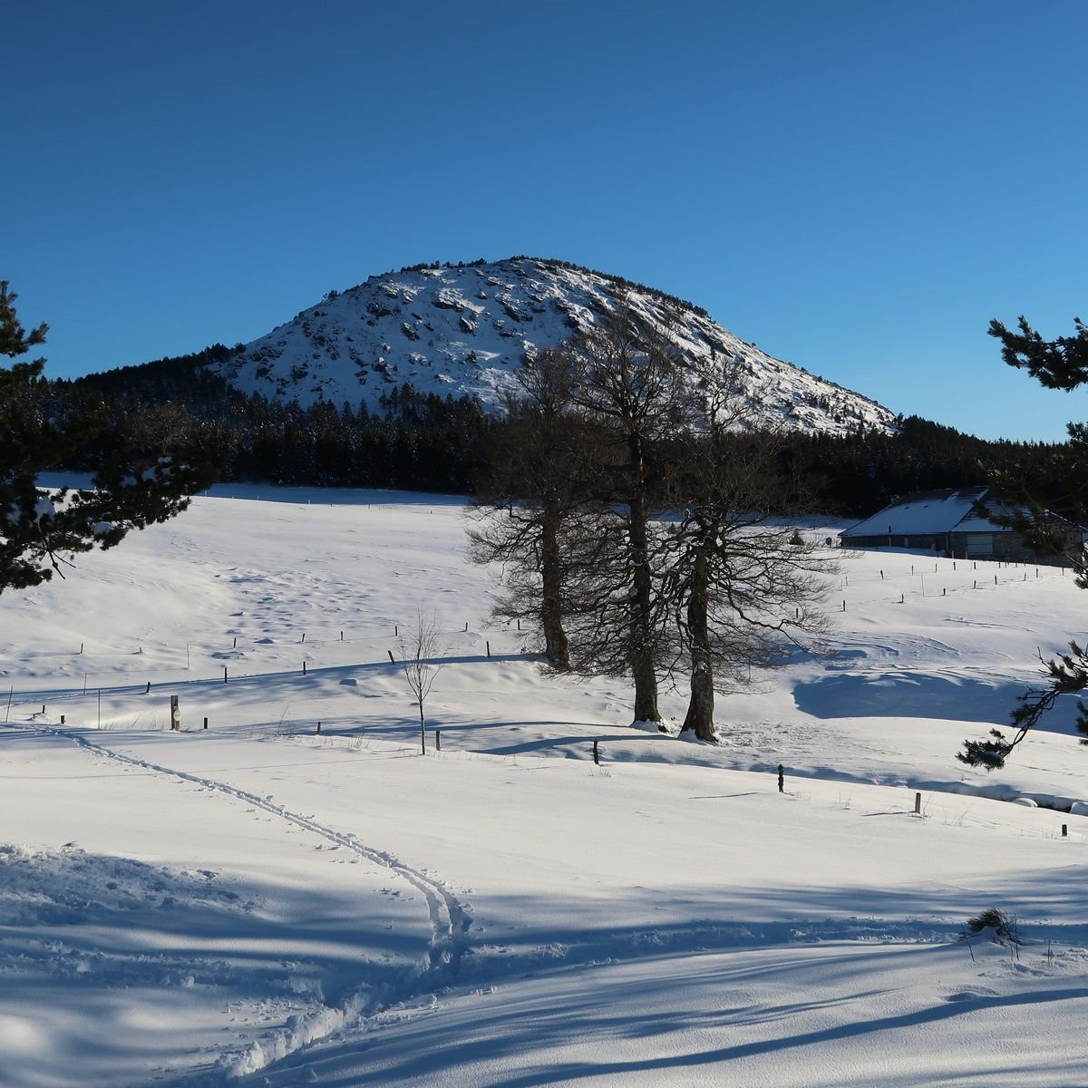 #6 Passage à Pré du Bois Passage à Pré du Bois