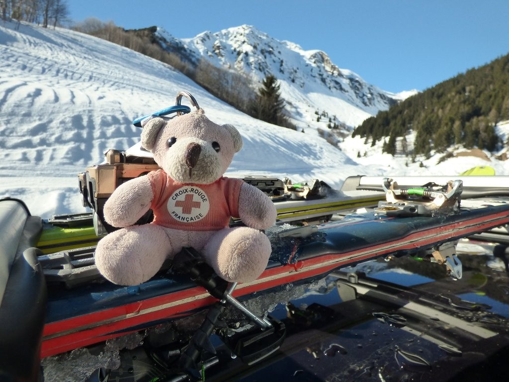 #9 En raison d En raison d'un défaut de photographe au sommet l'ours prend la pose ailleurs :)