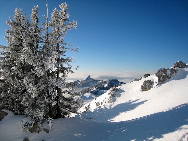 #5 Chartreuse givrée : ça degele pas trop en ce moment Chartreuse givrée : ça degele pas trop en ce moment
