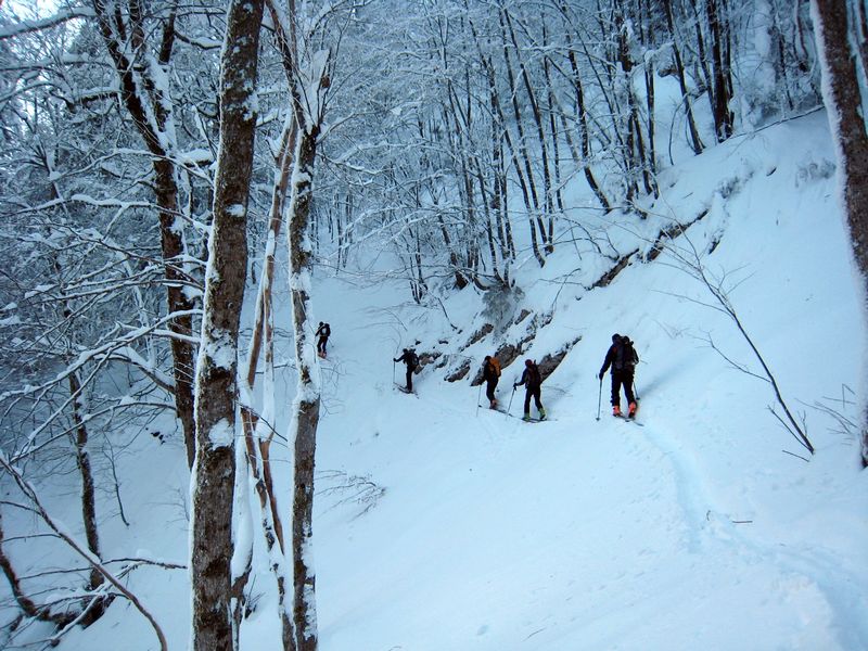 #8 Foret de Chamechine : chenille conduite par les voloboys là où on traverse l Foret de Chamechine : chenille conduite par les voloboys là où on traverse l'éperon à 1200m pour passer dans la combe du Collet