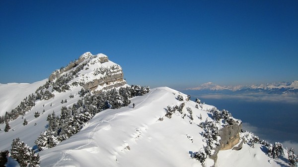 #4 Bellefond : Squal trace en direction du Piton de Bellefond Bellefond : Squal trace en direction du Piton de Bellefond