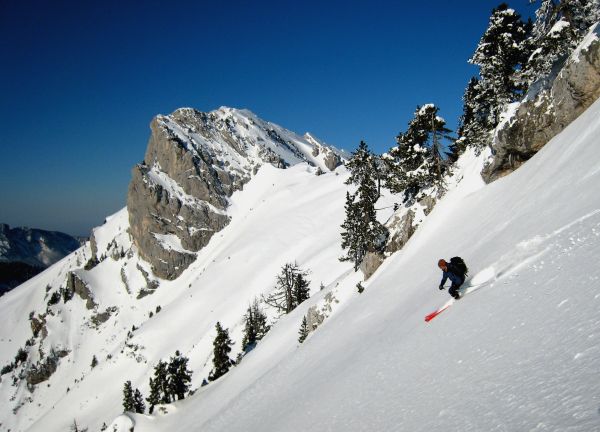 #1 Jip Freerider : On a vu pire comme condition pour un 15 décembre ! Jip Freerider : On a vu pire comme condition pour un 15 décembre !