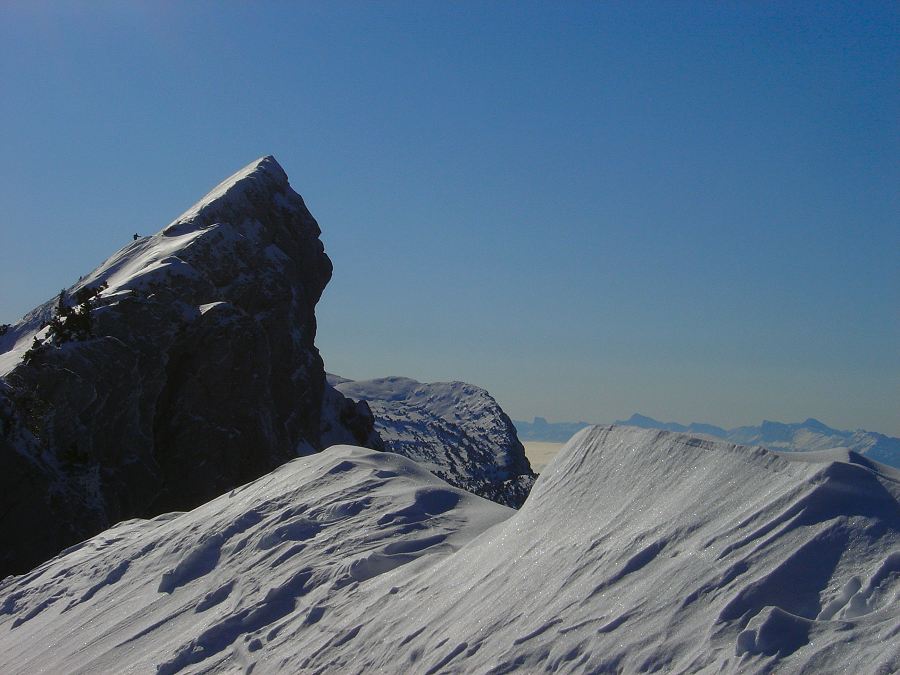 #4 lance nord : La lance nord de malissard, un petit air de doigt de dieux en chartreuse ! lance nord : La lance nord de malissard, un petit air de doigt de dieux en chartreuse !