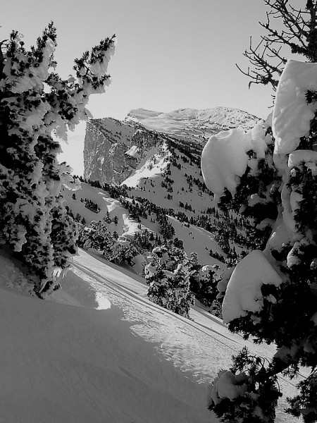 #1 Les hauts plateaux : En montant sur le piton de Bellefond Les hauts plateaux : En montant sur le piton de Bellefond