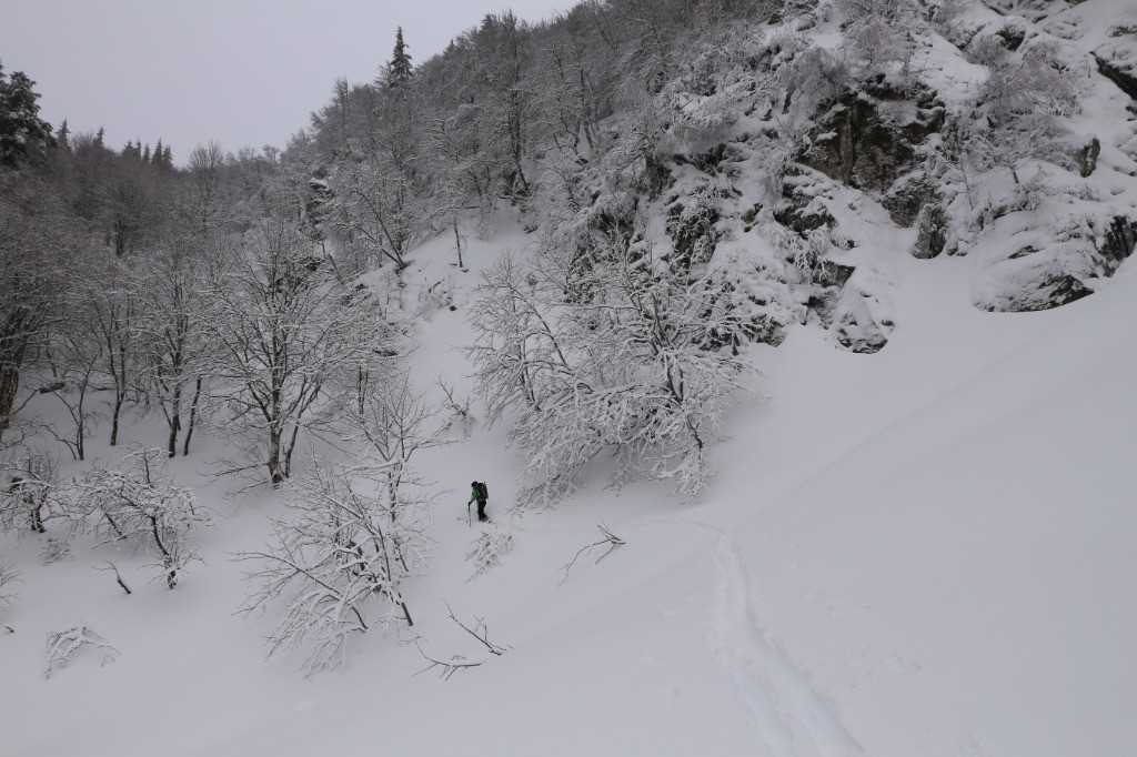 Ambiance hivernale vosgienne, Noémie à la trace...