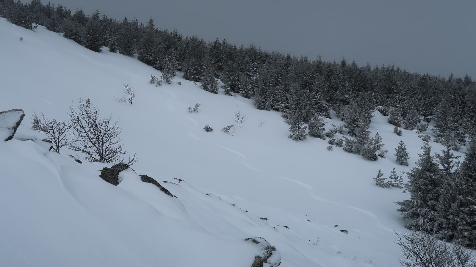 #2 Première trace de la journée Première trace de la journée