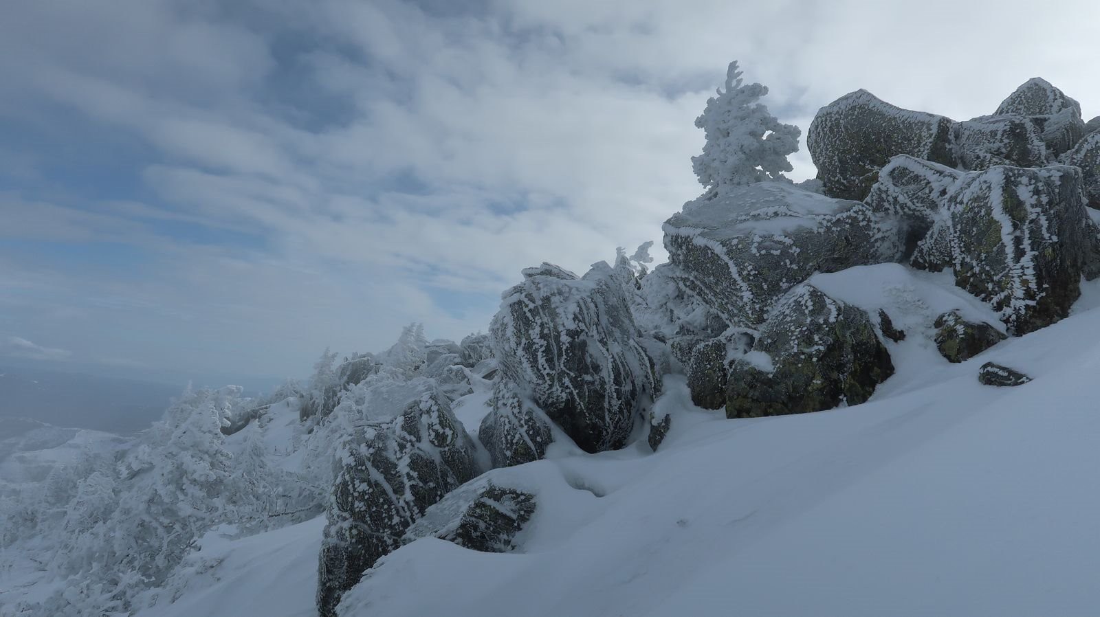 #4 Antécime Antécime