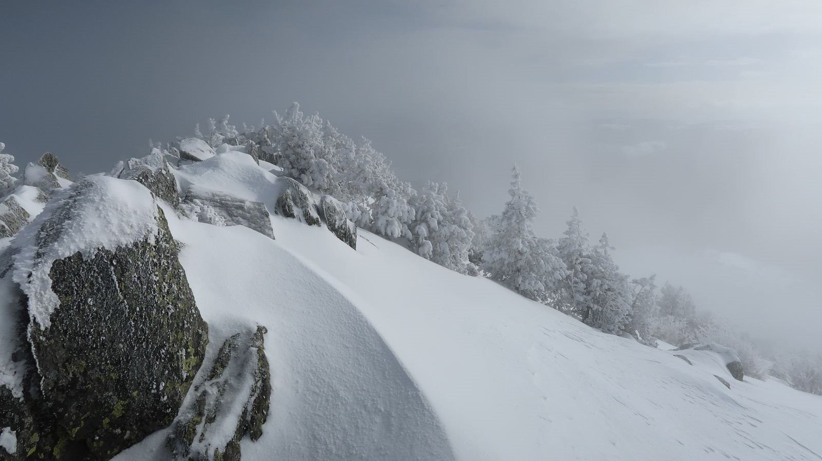 #5 Antécime Antécime