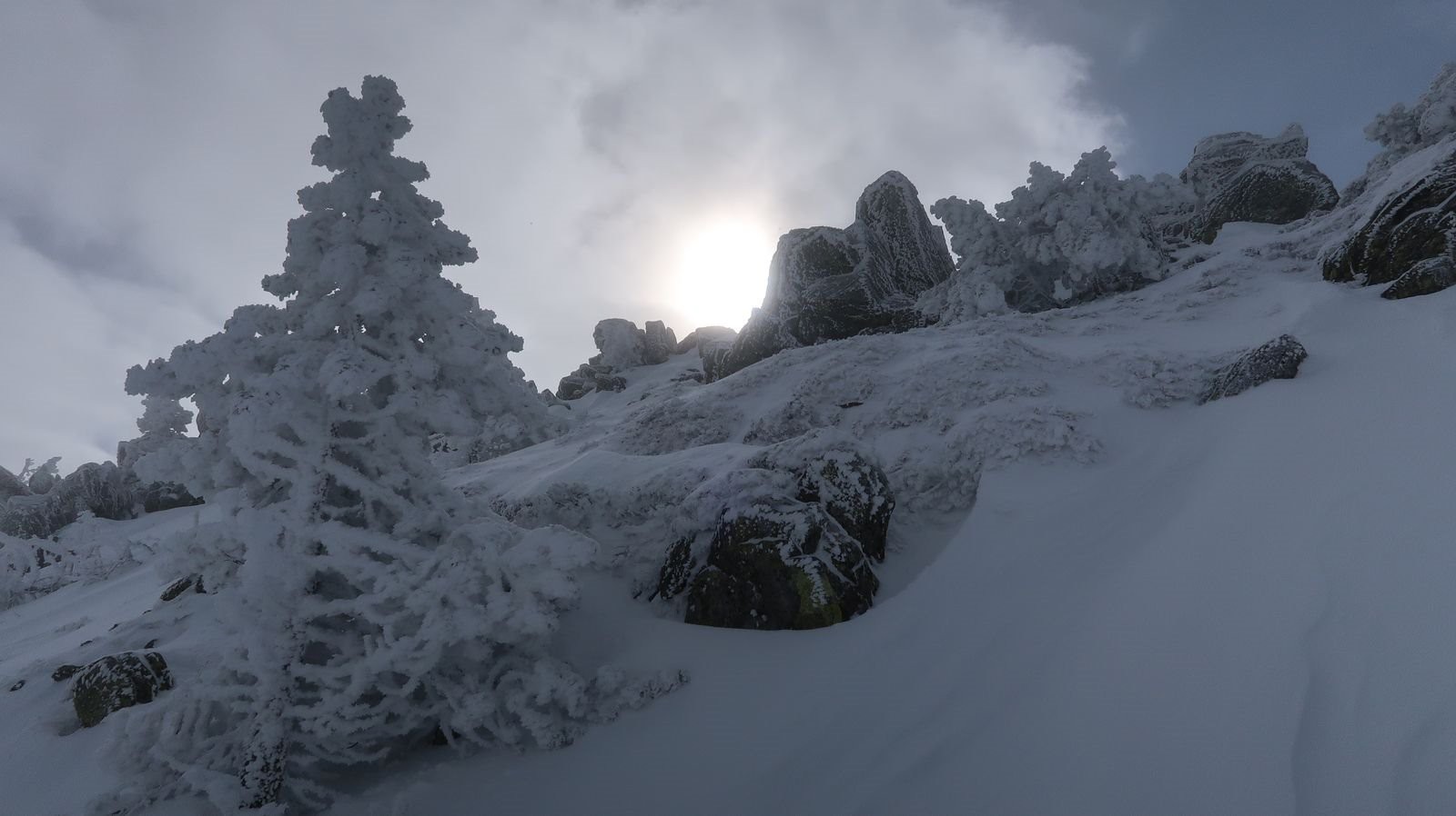 #3 L L'antécime toute proche