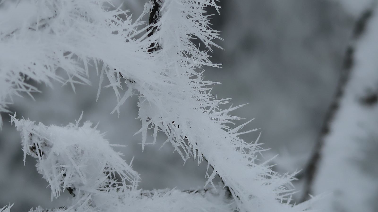#1 Aiguillettes de glace Aiguillettes de glace