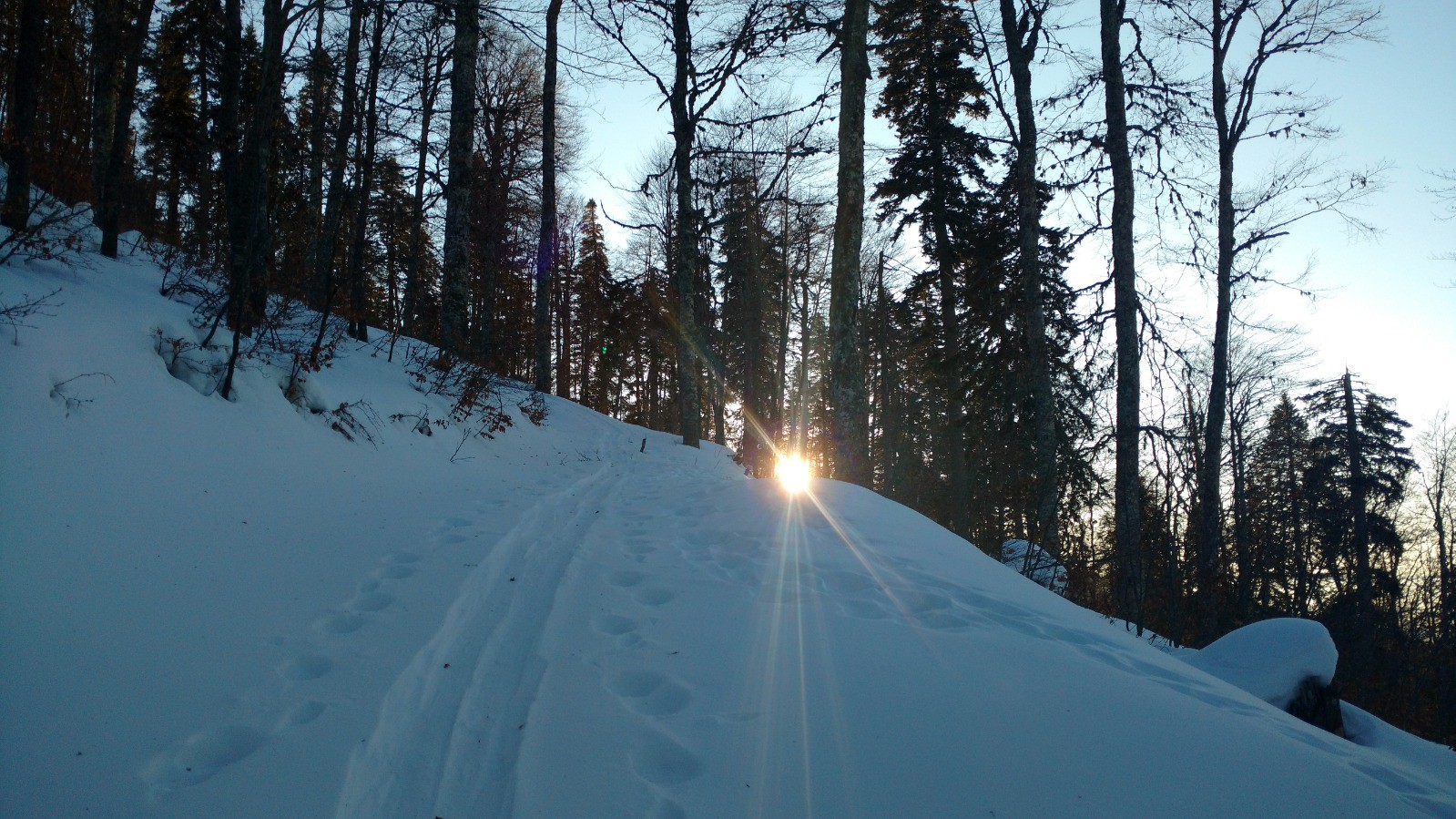 J5 Smolikas : remontée de fin de journée en forêt