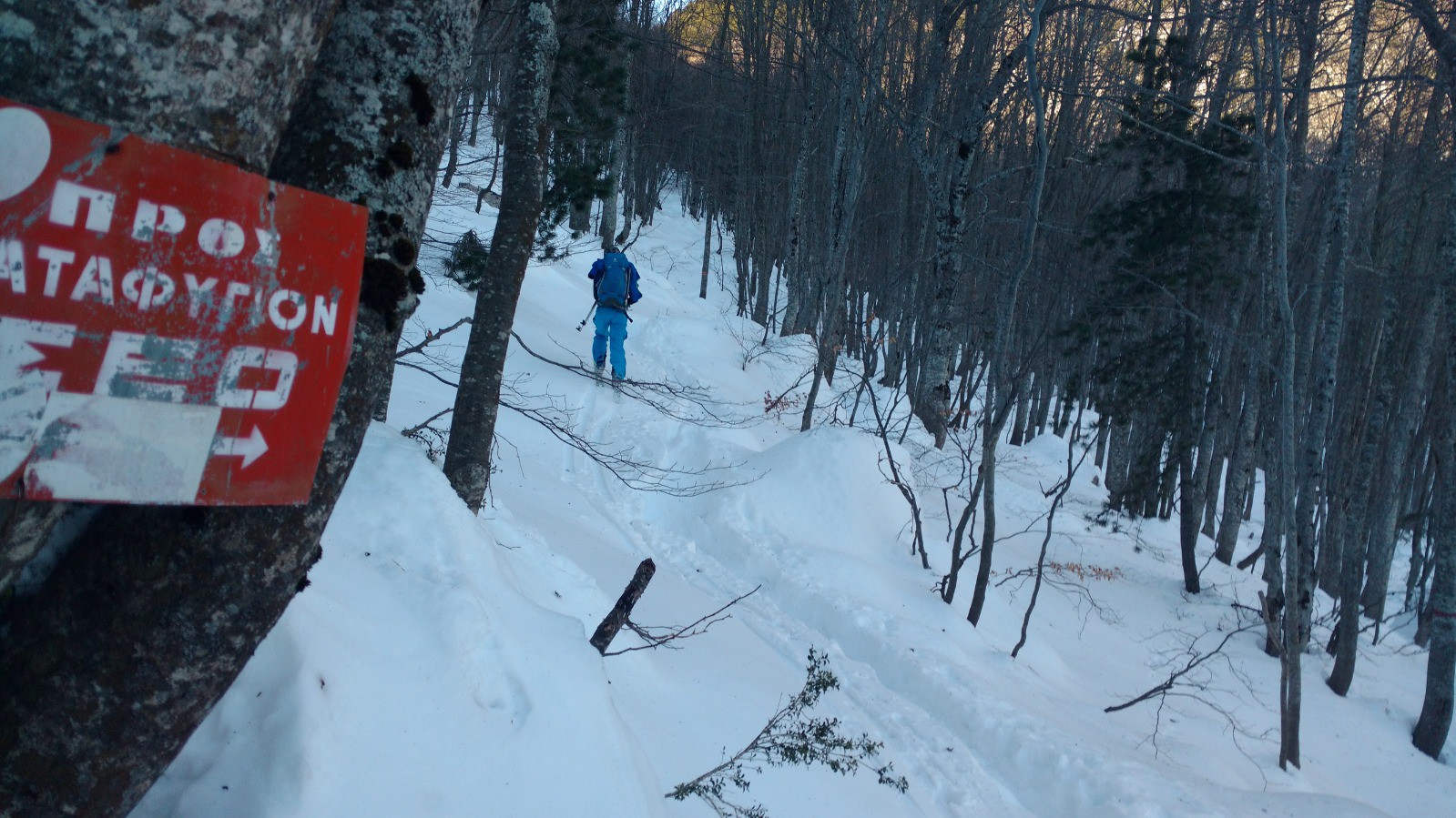 J3 Olympe : Alex à la trace en forêt