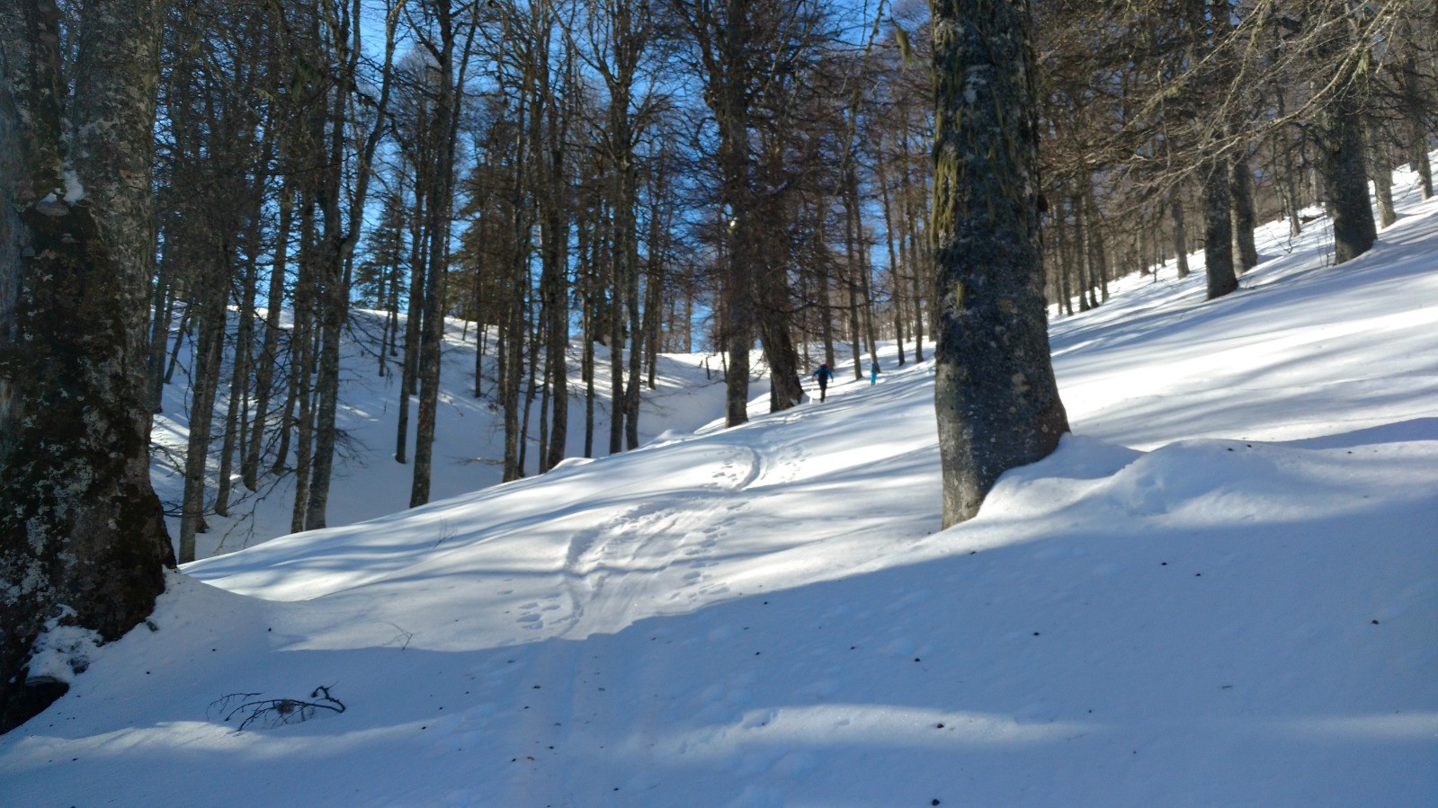 J5 Smolikas : départ en forêt