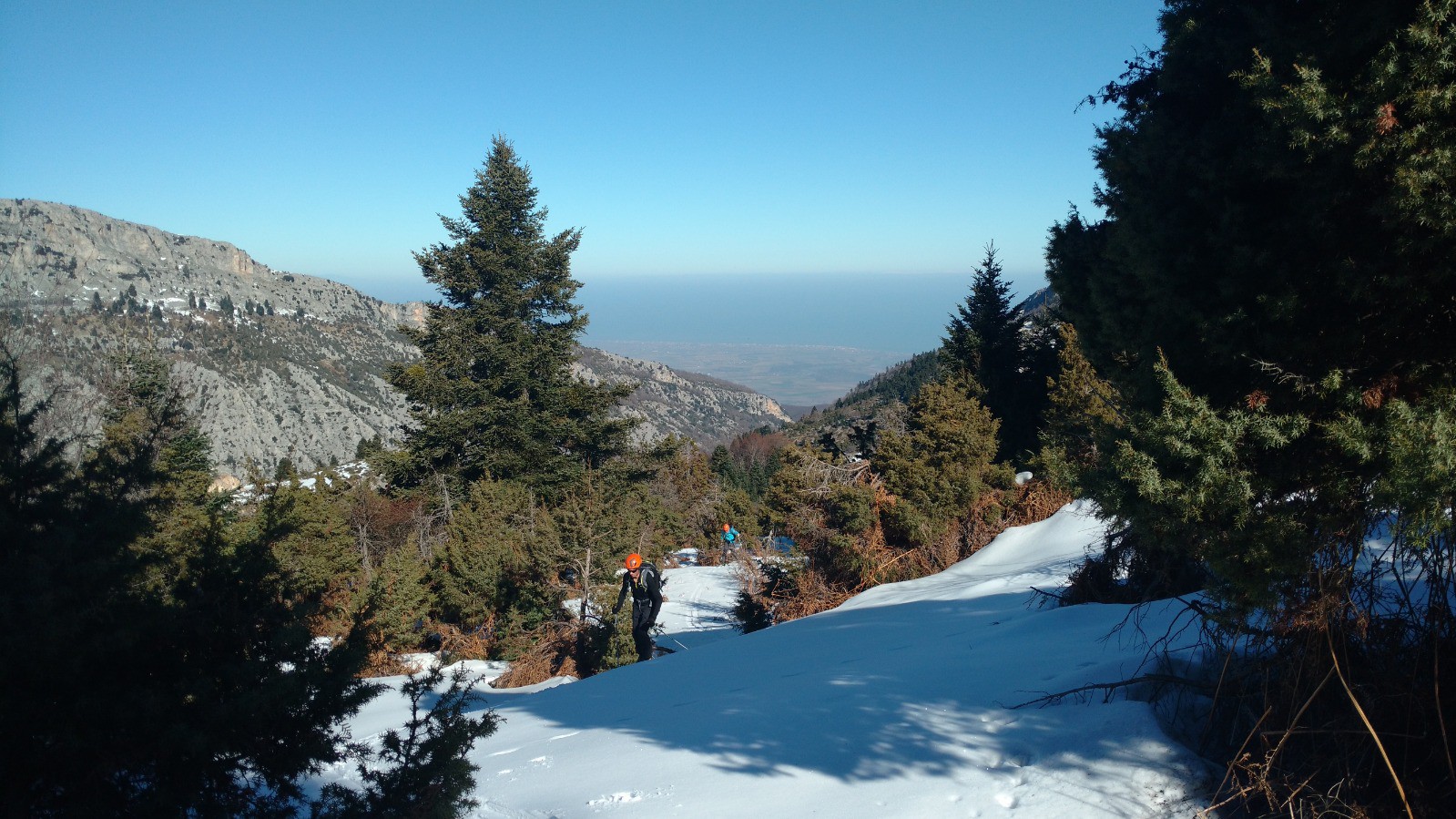 J4 Ossa : forêt faite pour le ski