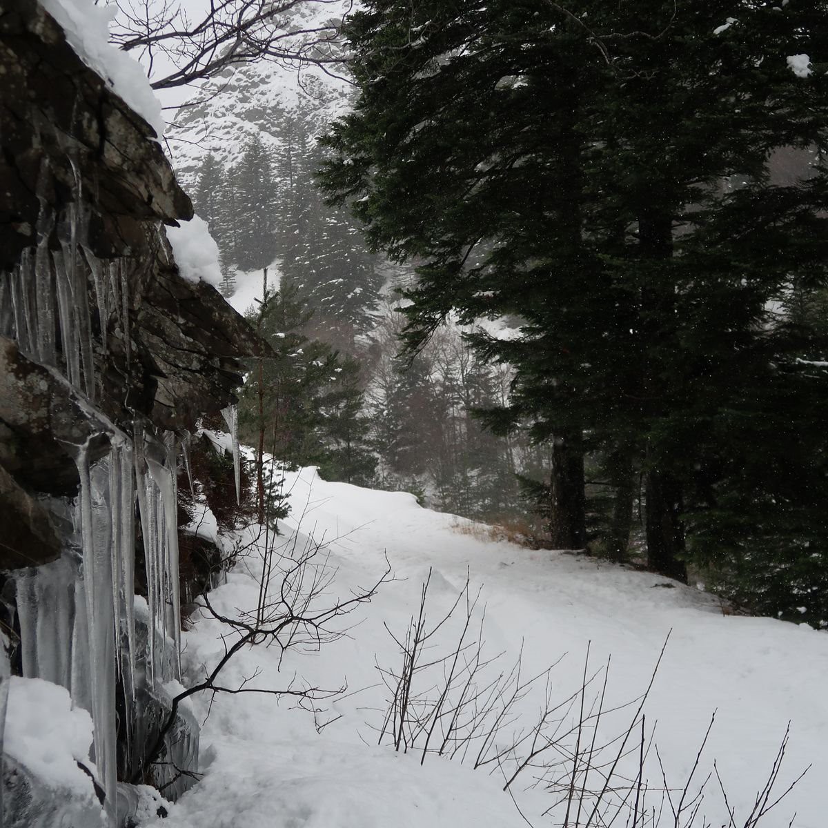 #7 Juste un peu de glace
Juste un peu de glace
