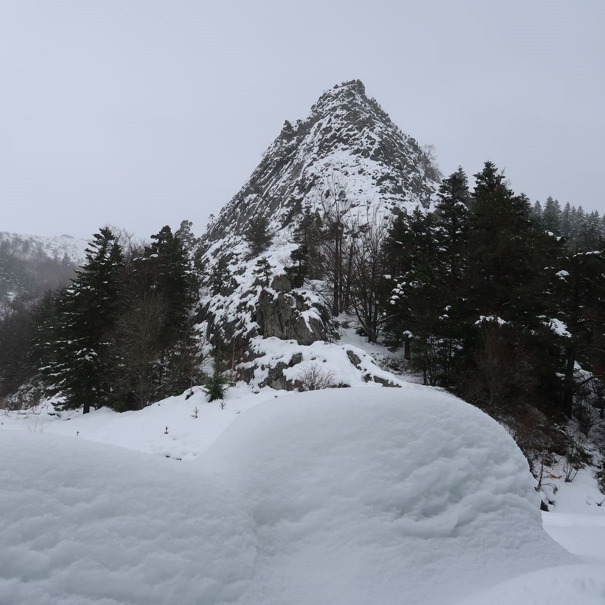 #9 Le Coin de la Scie Le Coin de la Scie