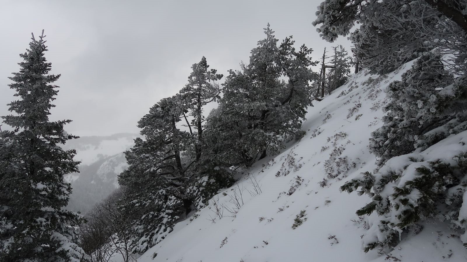 #11 Face sud moins remplie Face sud moins remplie