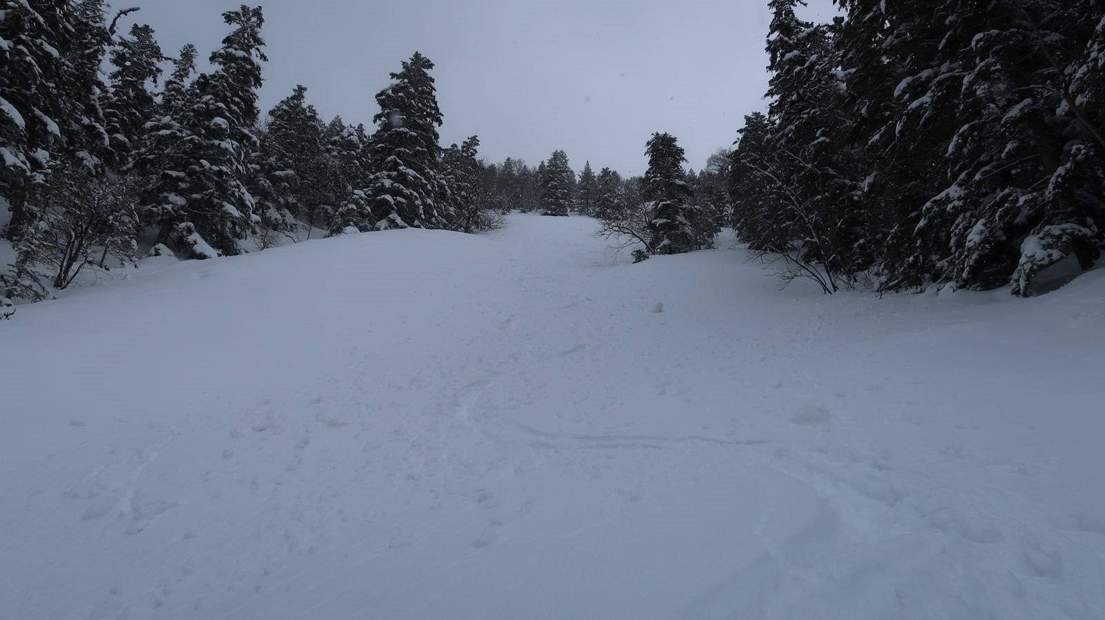 #6 Magnifiques conditions en versant nord Magnifiques conditions en versant nord