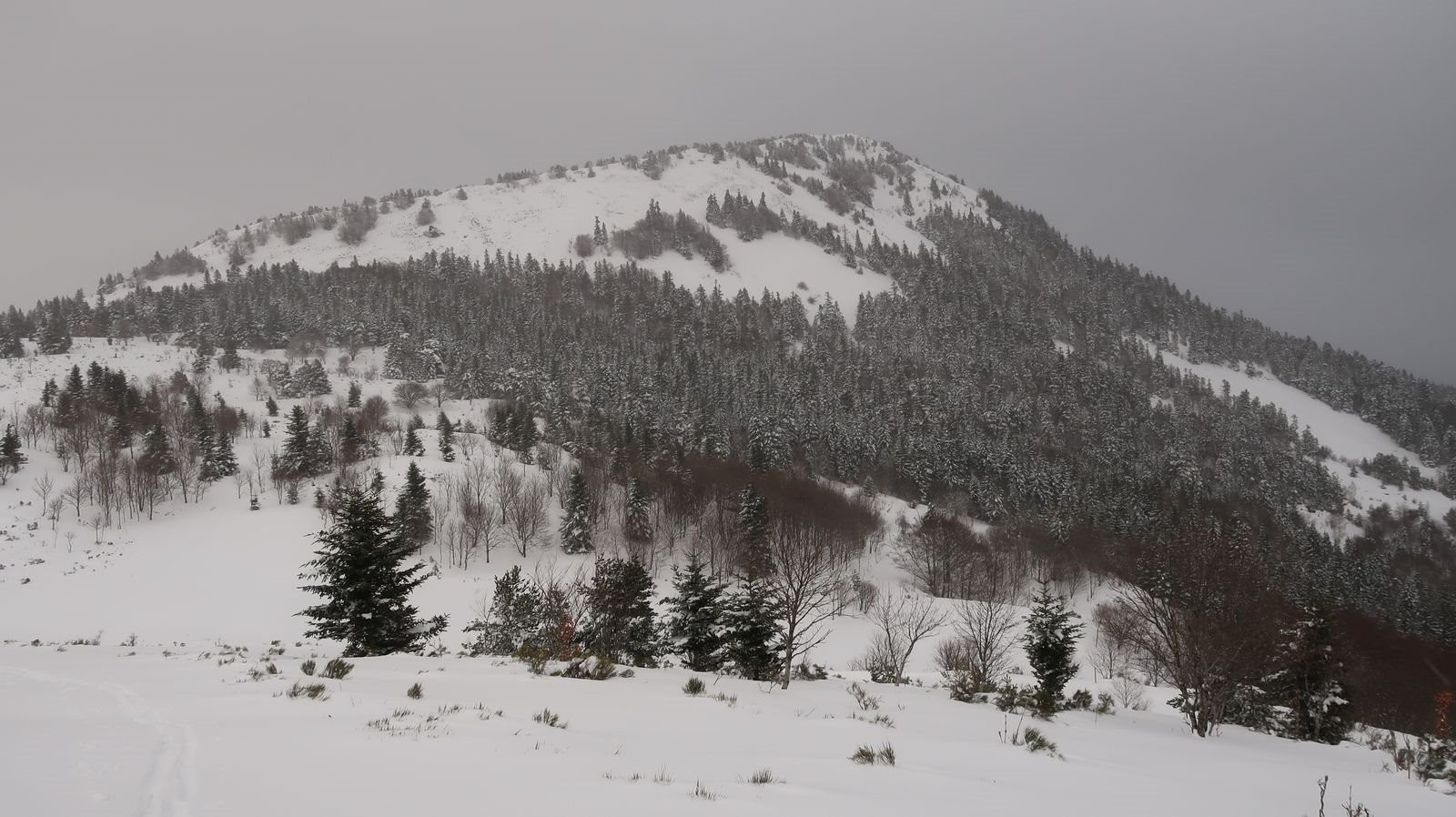 #12 Face sud Face sud