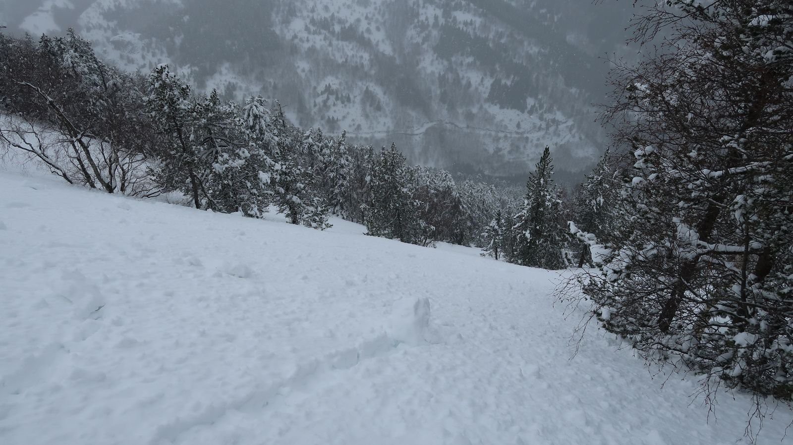 #5 Face nord Face nord