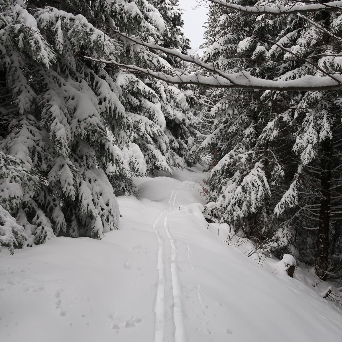 #13 Tracer jusqu Tracer jusqu'au bout