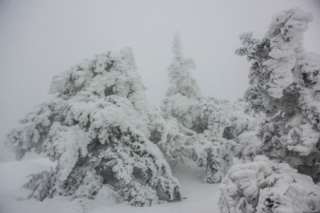 Au sommet c'est très... hivernal