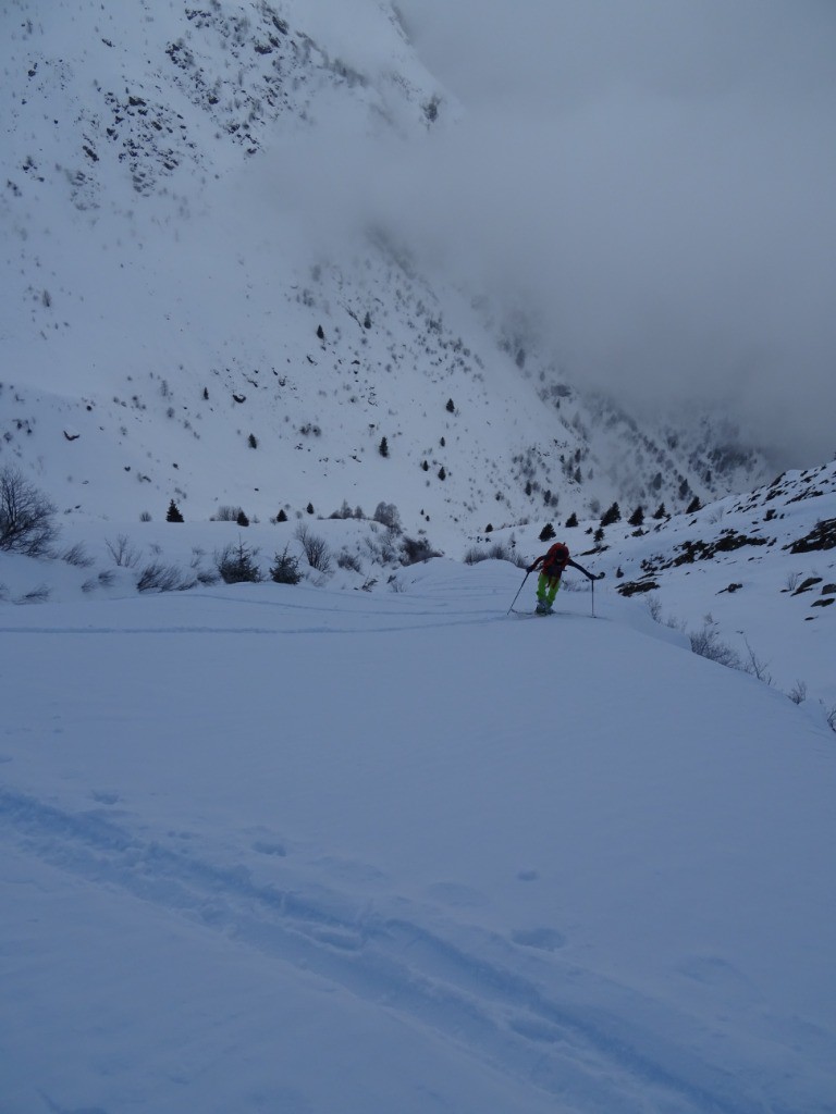 #5 Conversion land Conversion land