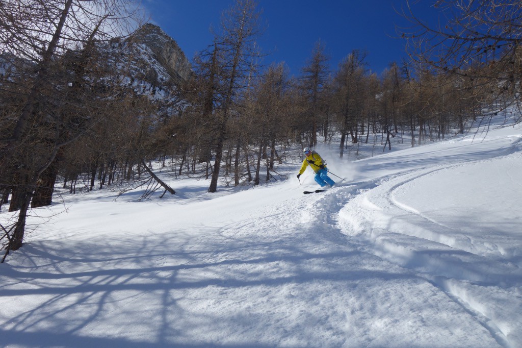 #5 ...bcq... ...bcq...