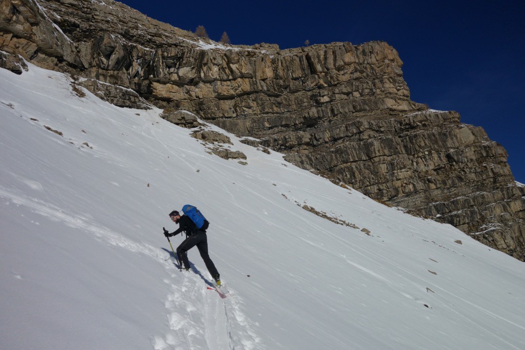 #2 Poussez ! Poussez !