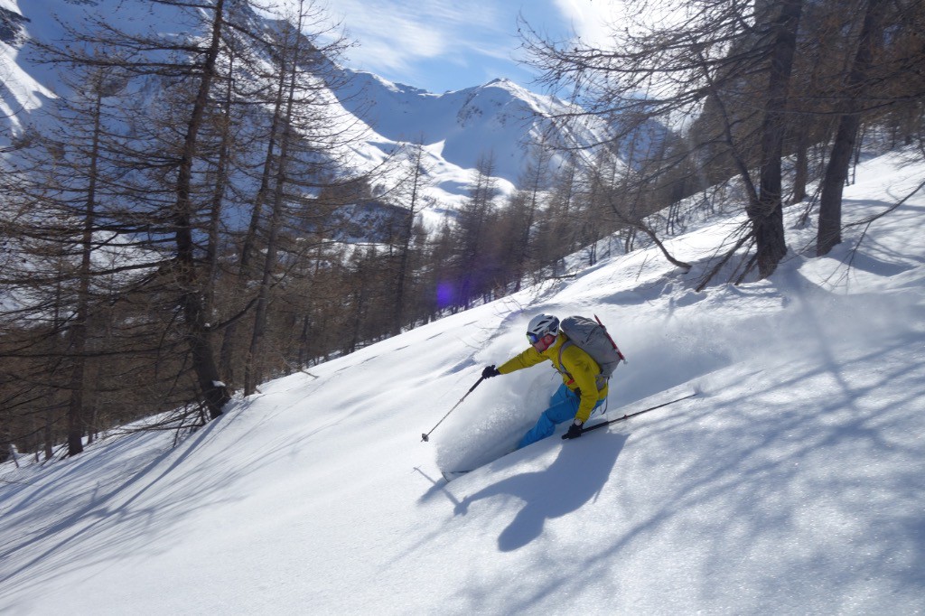 #6 Bidochon Bidochon