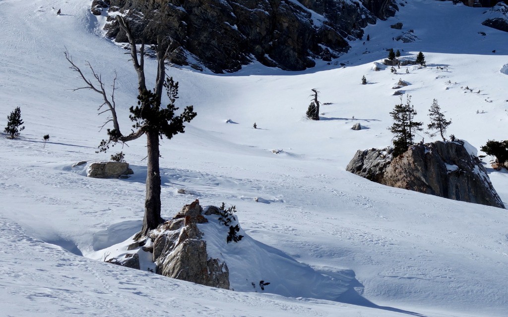 #2 végétal et minéral ne font qu végétal et minéral ne font qu'un