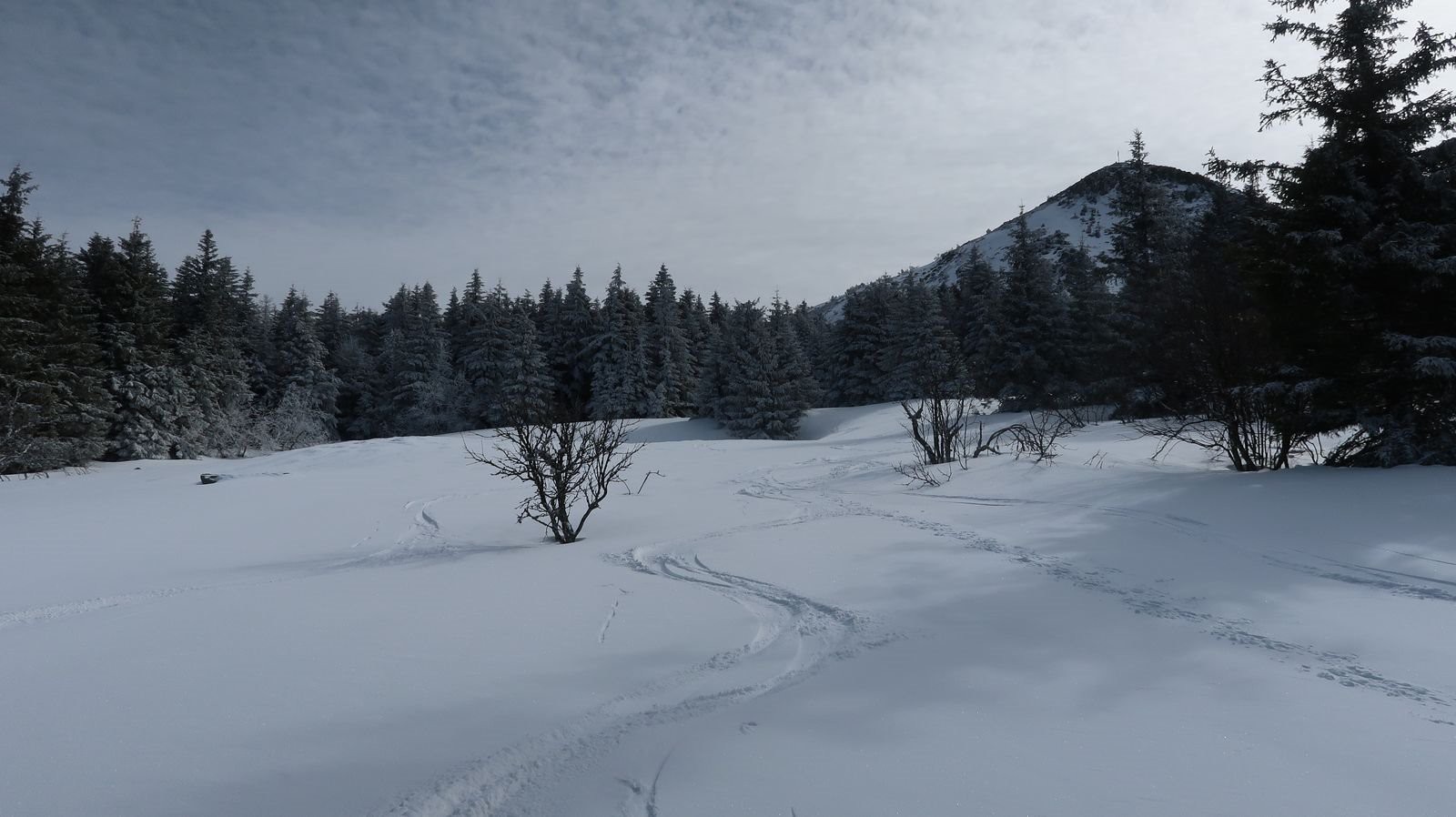 #6 Poudreuse clairière nord Poudreuse clairière nord