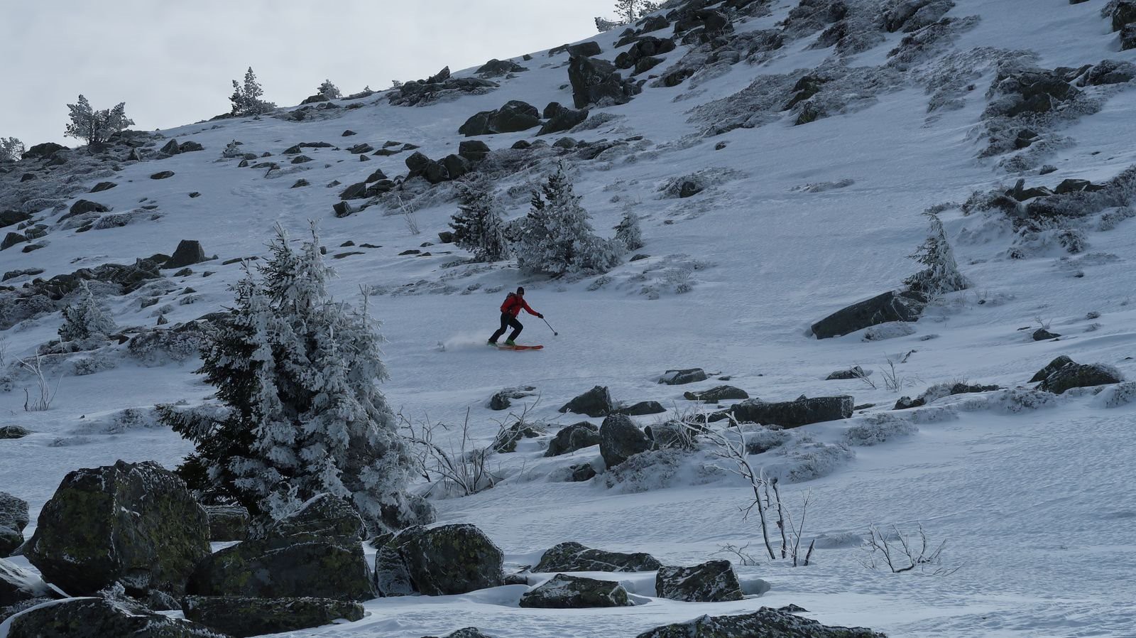 #5 Mézenc, versant nord Mézenc, versant nord