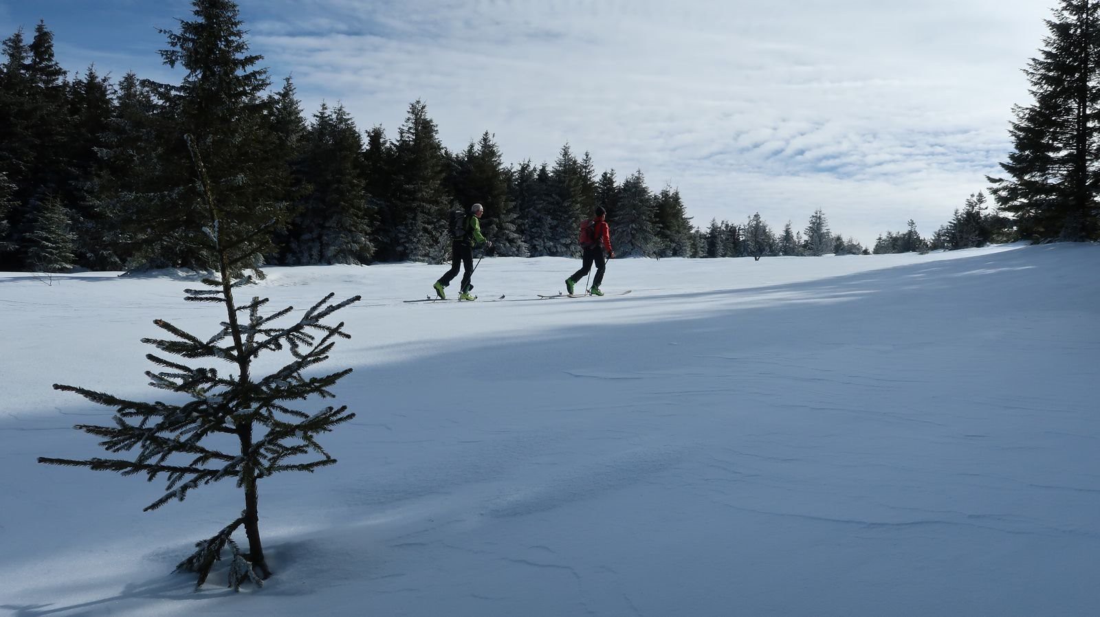 #12 Costebelle Costebelle