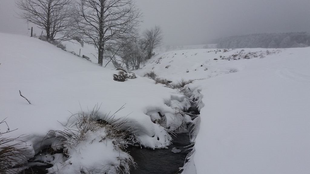 #6 Les sources du Lignon Les sources du Lignon