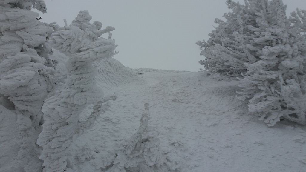 #11 Juste sous le sommet Juste sous le sommet