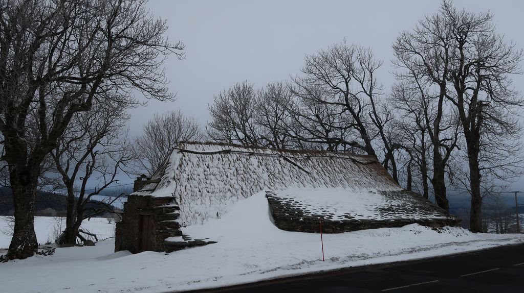 #4 Les Infruits Les Infruits