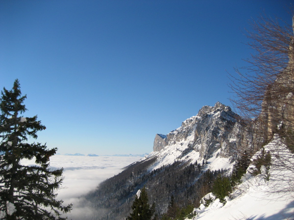 #7 Mer de nuage : Mer de nuage.
Photo Sylvain Mer de nuage : Mer de nuage.
Photo Sylvain