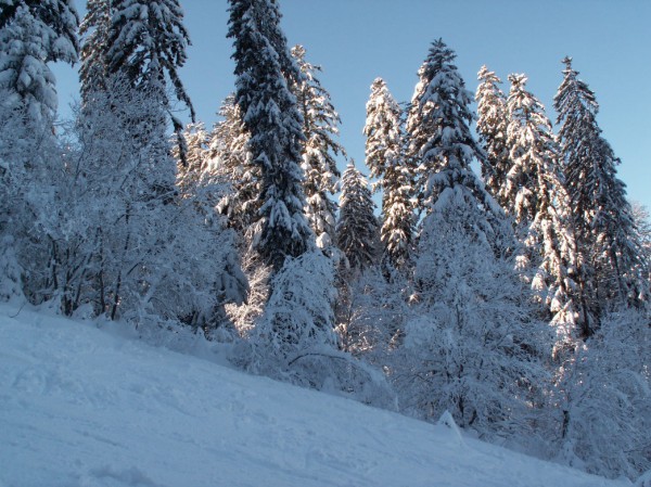 #1 Sur l Sur l'ancienne piste : Que c'est beau la Chartreuse!!
