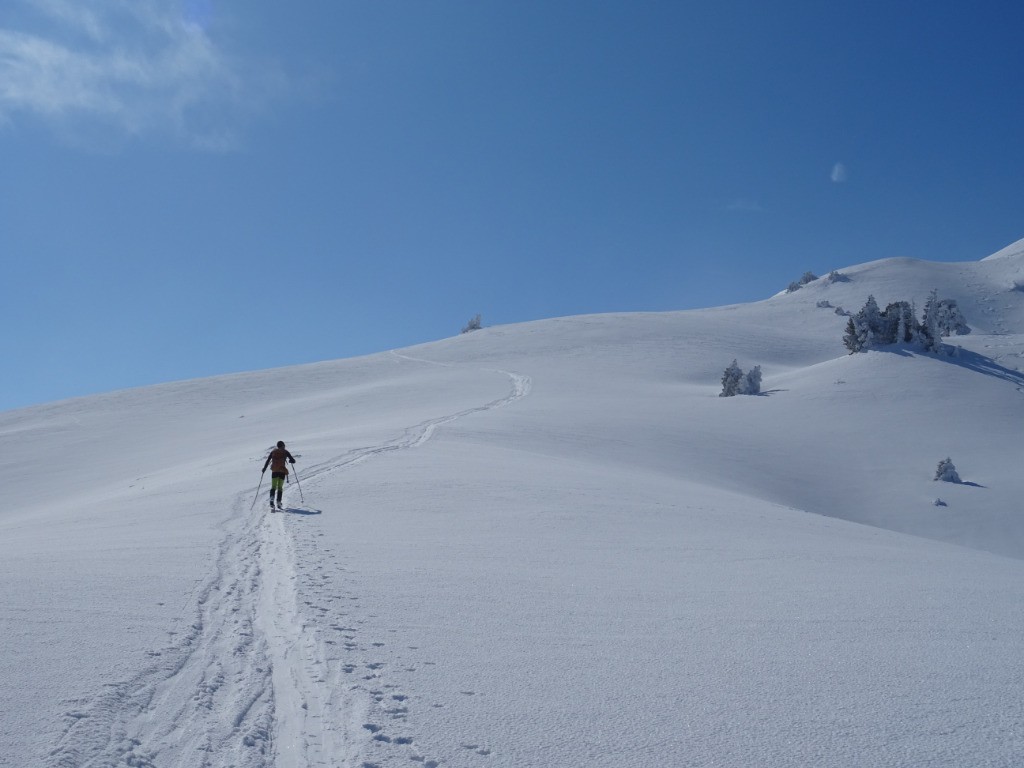 Col de La Sure